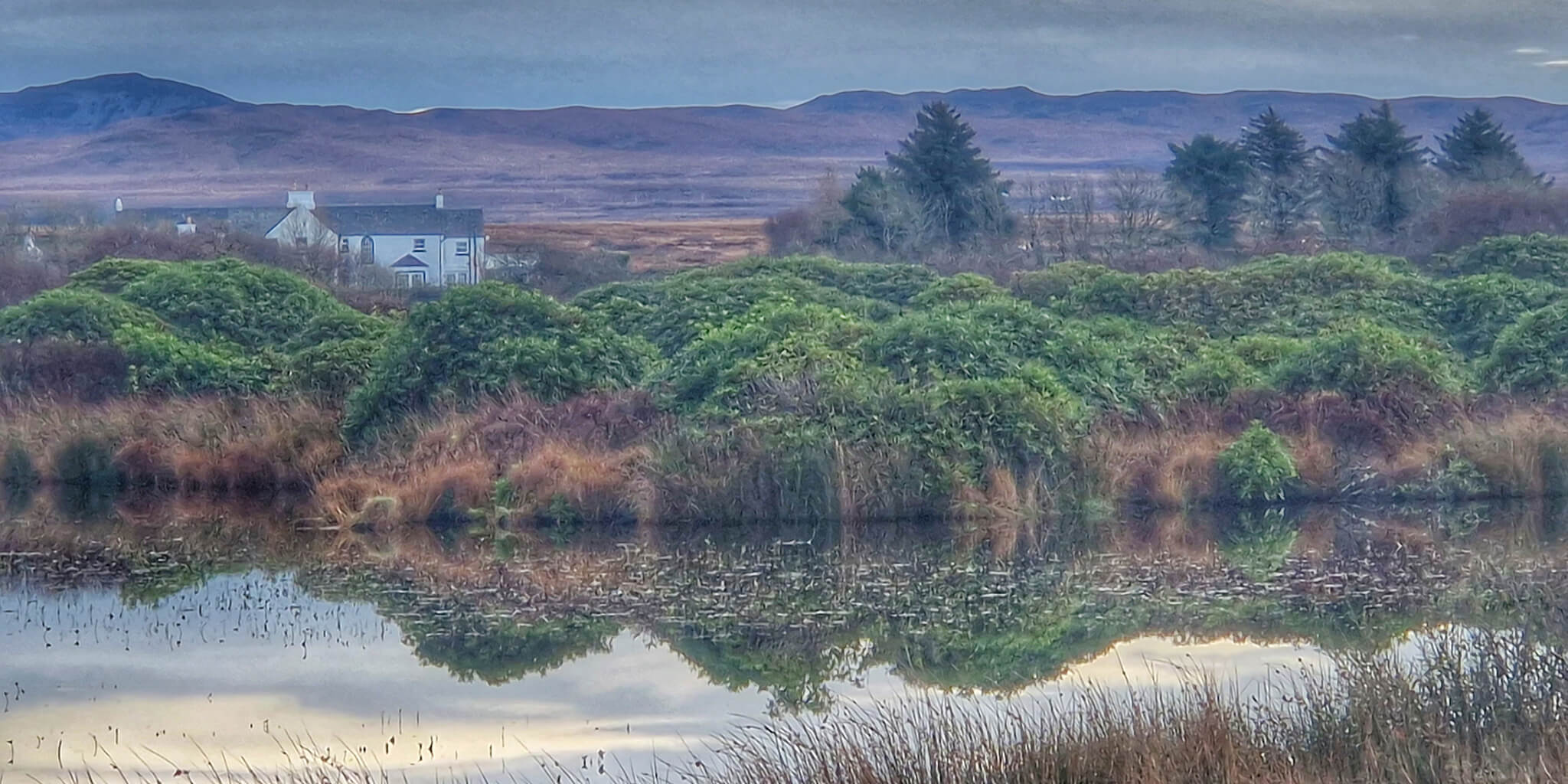 Featured Image for Contact on Laggan Estate, Isle of Islay